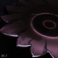 �-5 ������ ������� (���������), 10 ��